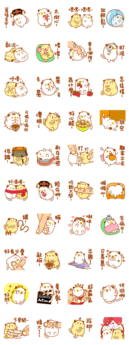Niu Niu Cat 4