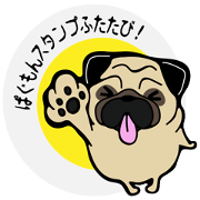 Pug is Lovely dog 2