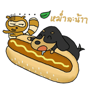 tanukuroh