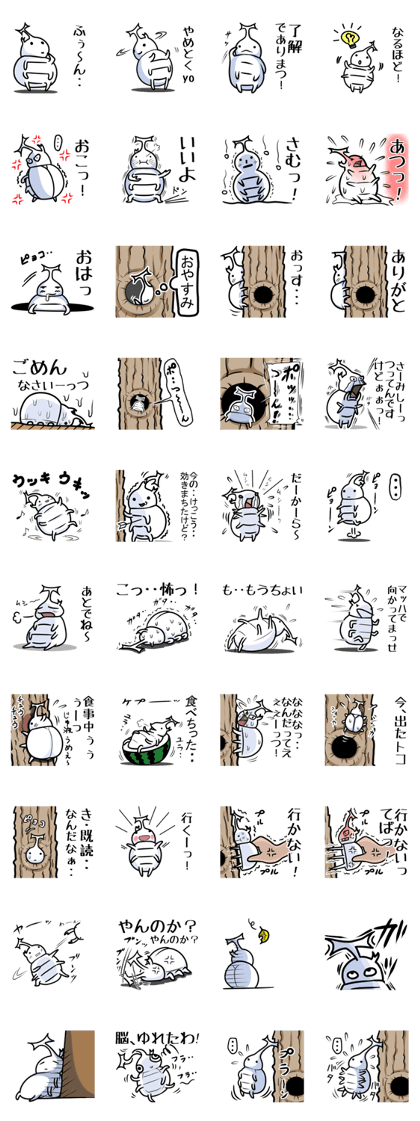 White beetle