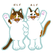 Mollycoddle's cat