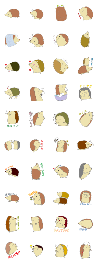 pre-chan hedgehog