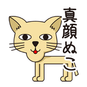 Funny Cats with friends