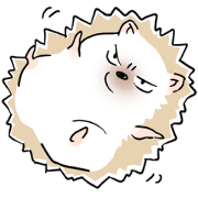 tsundere Hedgehog