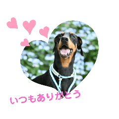 TARU_20200626163244