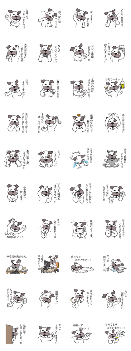 Name of the dog is kamase <Business> fix