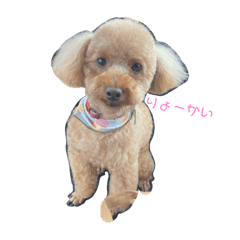 chisa_20200625213309