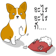 INDY DOG