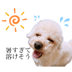 ayumi_20200626172821