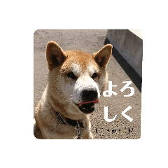 risa_20200625222204