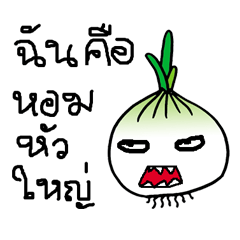 Crazy onion