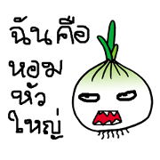 Crazy onion