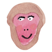 Face of the monkey