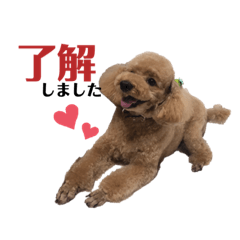 kanae_20200626204038