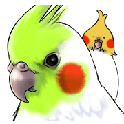 Creatures such as the cockatiel