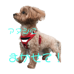 mishelu_20200626214246