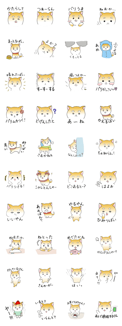 hakata's dogs