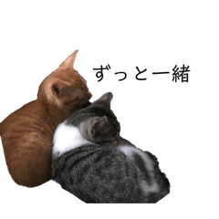 chiitan_20200626220143