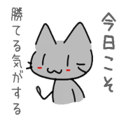 The cat which fights to win