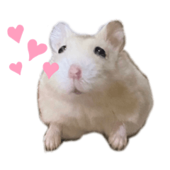 omochi_20200626225501