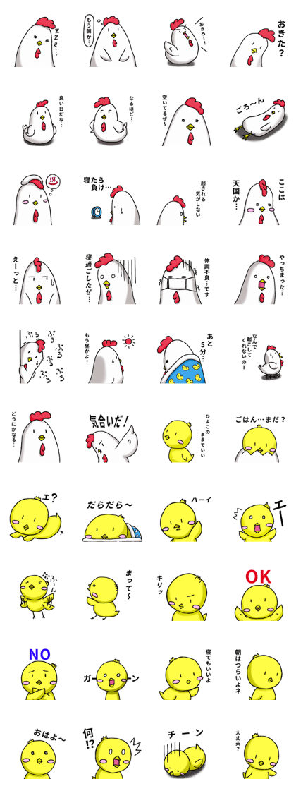 Lazy chicken and chillin chick