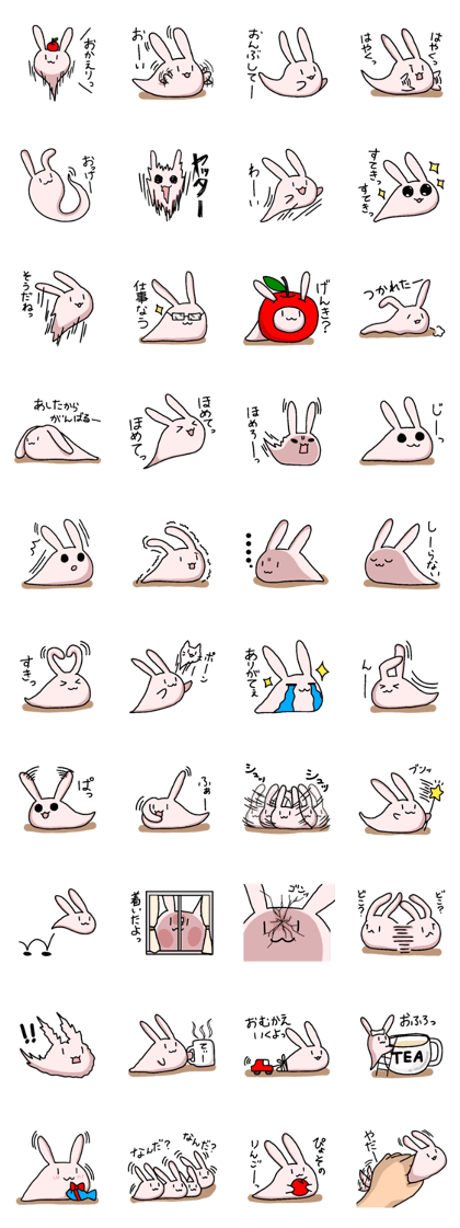 PYOSO of rabbit 3