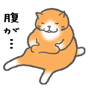 A very fat cat Dalumy