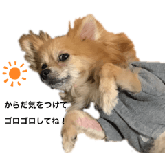 piano_20200627095715