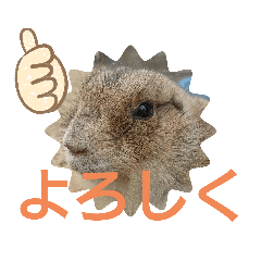 nanana_20200627100329