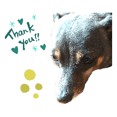 eiram_20200627080247