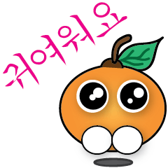 Little Orange (Korean)