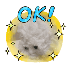 panda_20200627103821