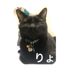 kurosuke_10250401
