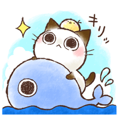 The Cat S Name Is Choco 03 Line Stickers Line Store The Cat S Name Is Choco 03 Line Stickers Line Store