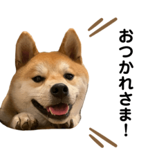 ayumi_20200627113758