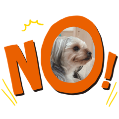 KAZUMI_20200627090426