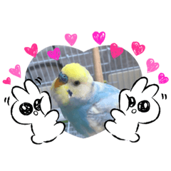 Kurumi_20200627134527