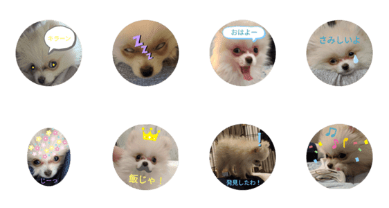 印刷 ポメラニアン 絵文字 印刷 ポメラニアン 絵文字