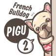 French Bulldog-PIGU II
