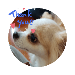 smile_20200627142642