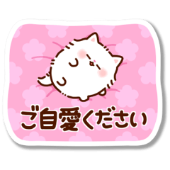 Fluffy little cat Sticker 2