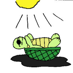 Kamesuke of a turtle