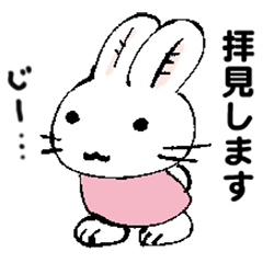A little rabbit dressed in pink