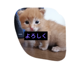 hayato_20200627141645