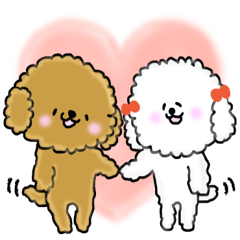 Usable toy poodle