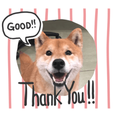 Cherry_20200627153213