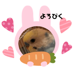 Kurumi_20200627144742