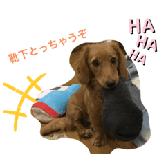 ayakas1213rana_20200627123442