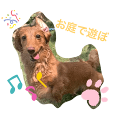 ayakas1213rana_20200627123614