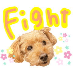 saori_20200627164011